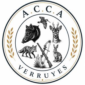 ACCA